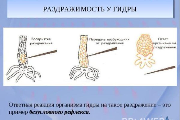 Кракен это даркнет маркетплейс