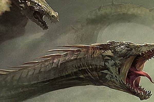 Kraken 22 аt