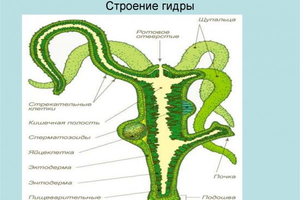 Даркнет кракен отзывы о платформе