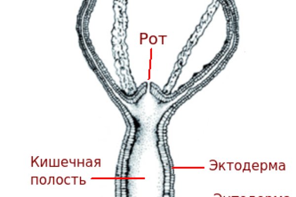 Кракен ссылка на сайт тор