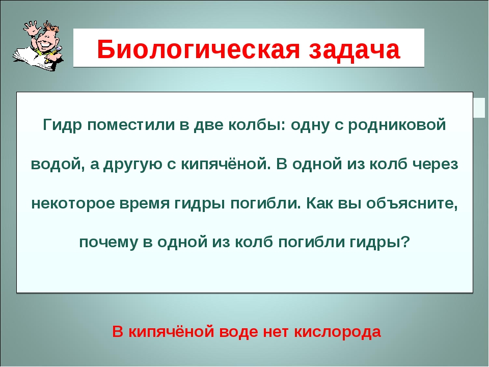 Короткая ссылка на кракен