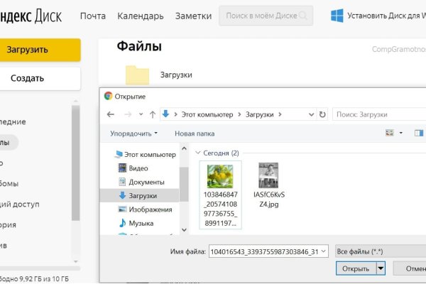Гидра и кракен