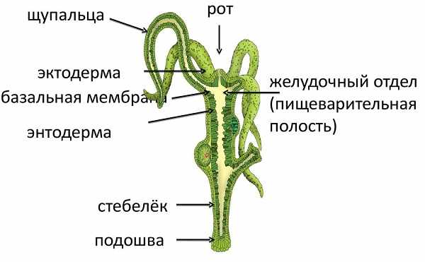 Kra44.cc